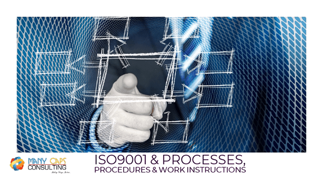 prcesses-proceedures-and-work-instructions-tiny